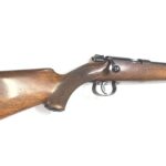 Carabina Mauser – .22Lr